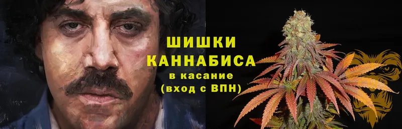 Бошки марихуана LSD WEED  как найти закладки  Оленегорск 